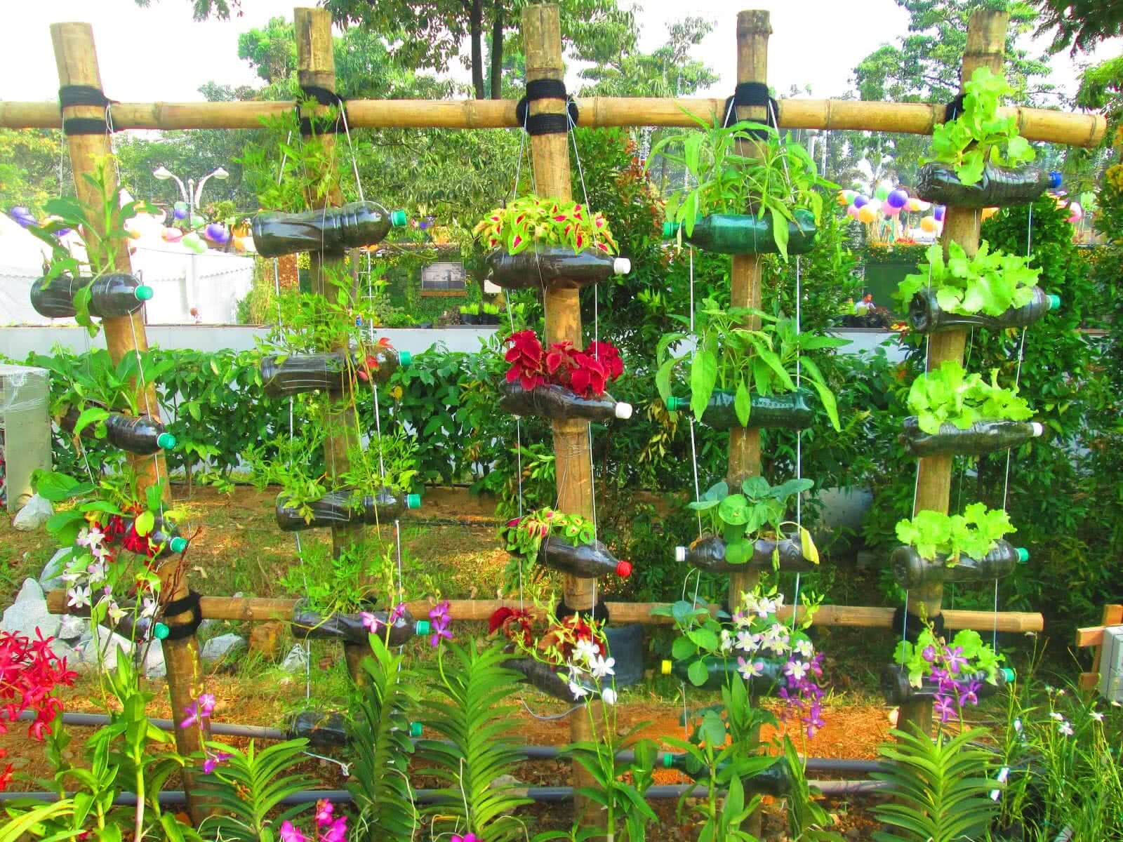 A creative plastic bottle garden showcasing various repurposed bottle planters in an urban setting
