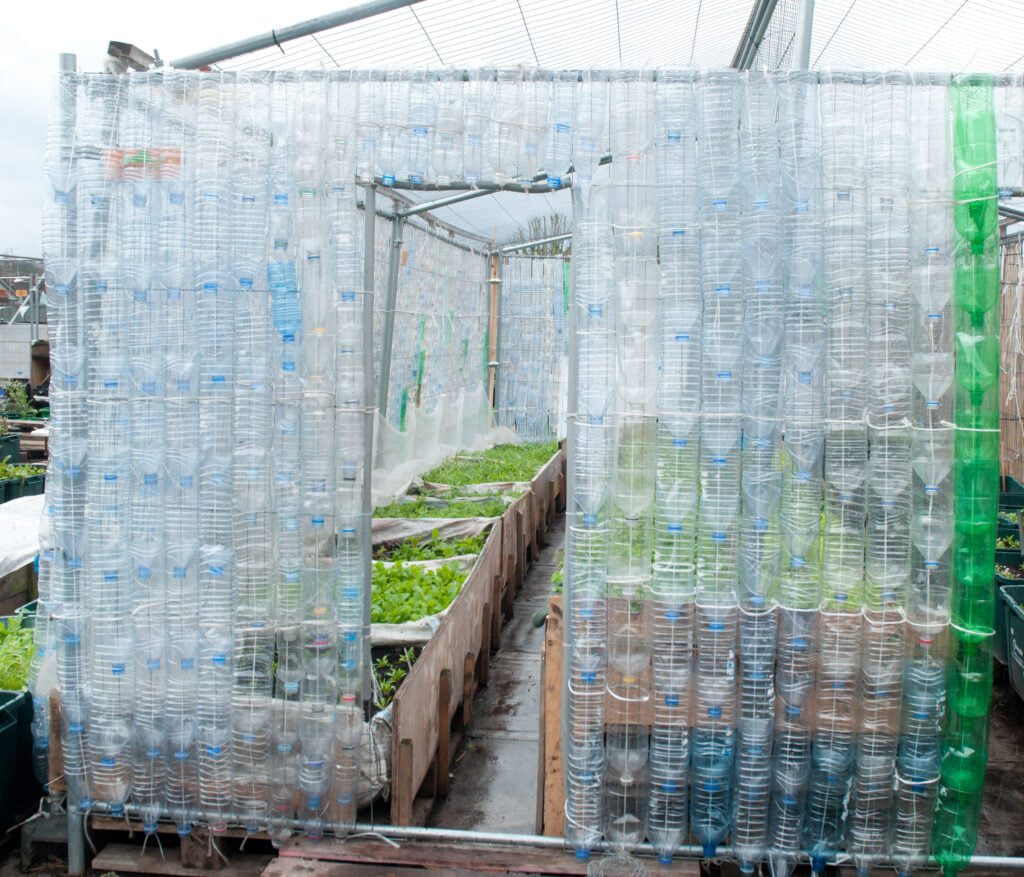 Do Plastic Bottle Greenhouses Work Cultivating Green Spaces