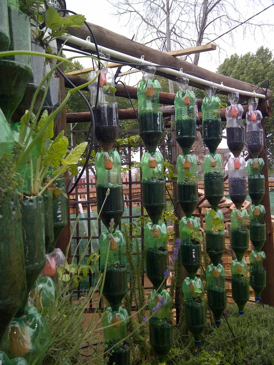 plastic bottle garden
