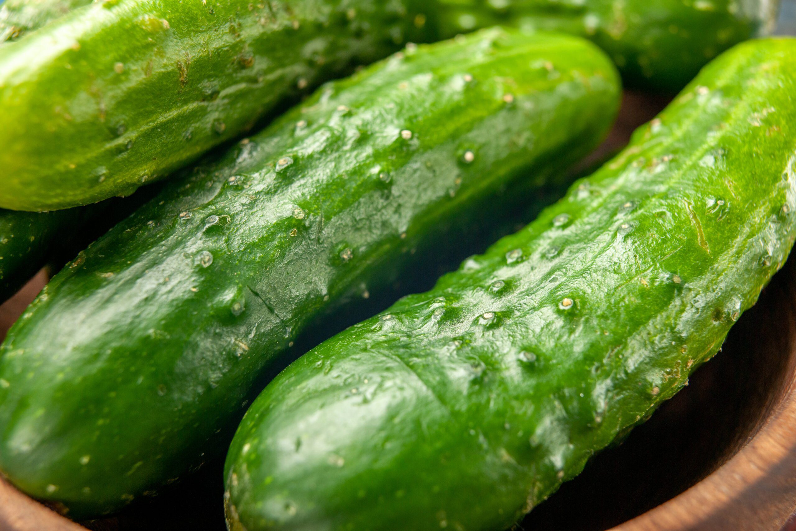 When To Harvest Cucumbers From Garden 