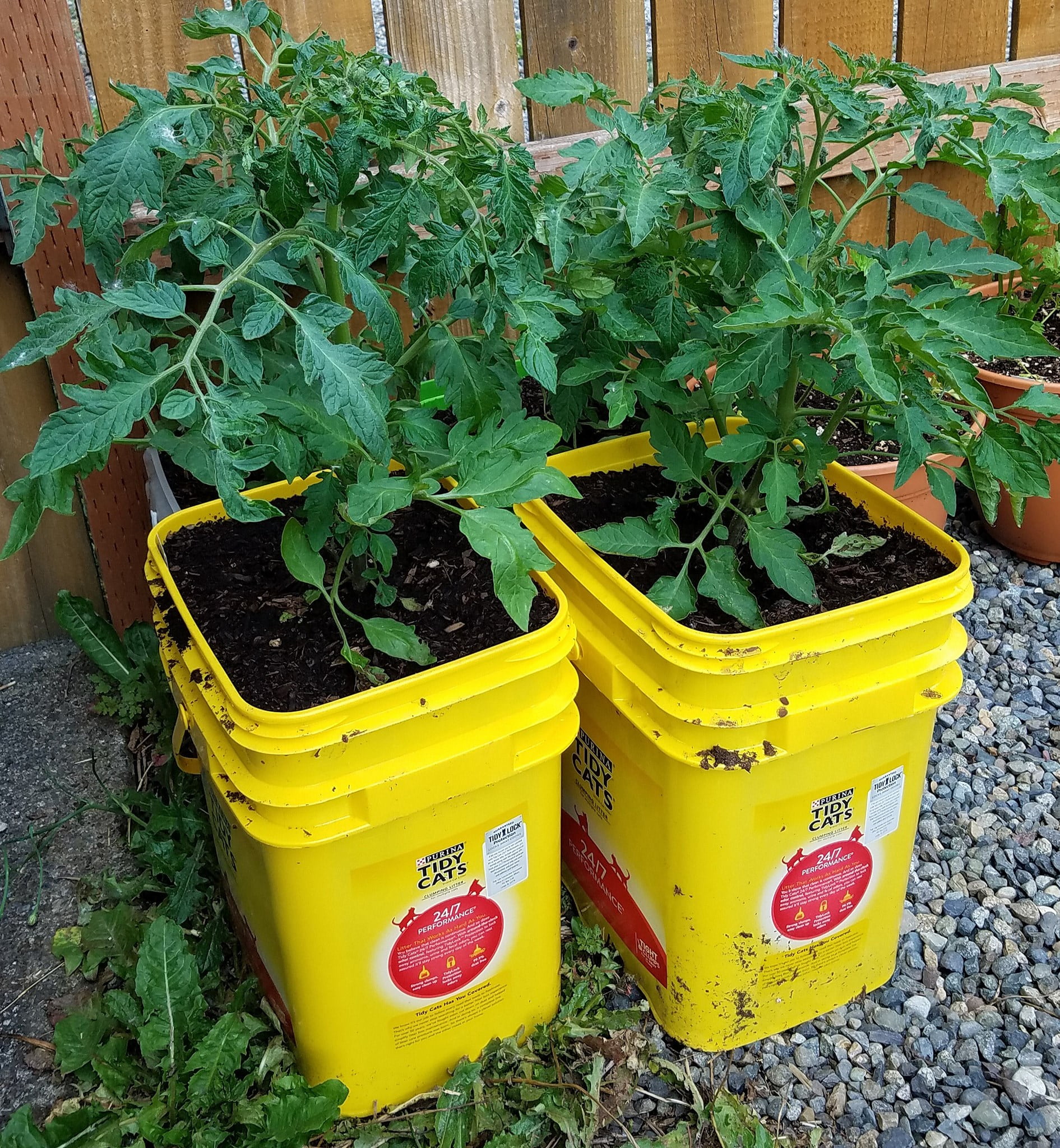 Homemade Potting Soil for Tomatoes