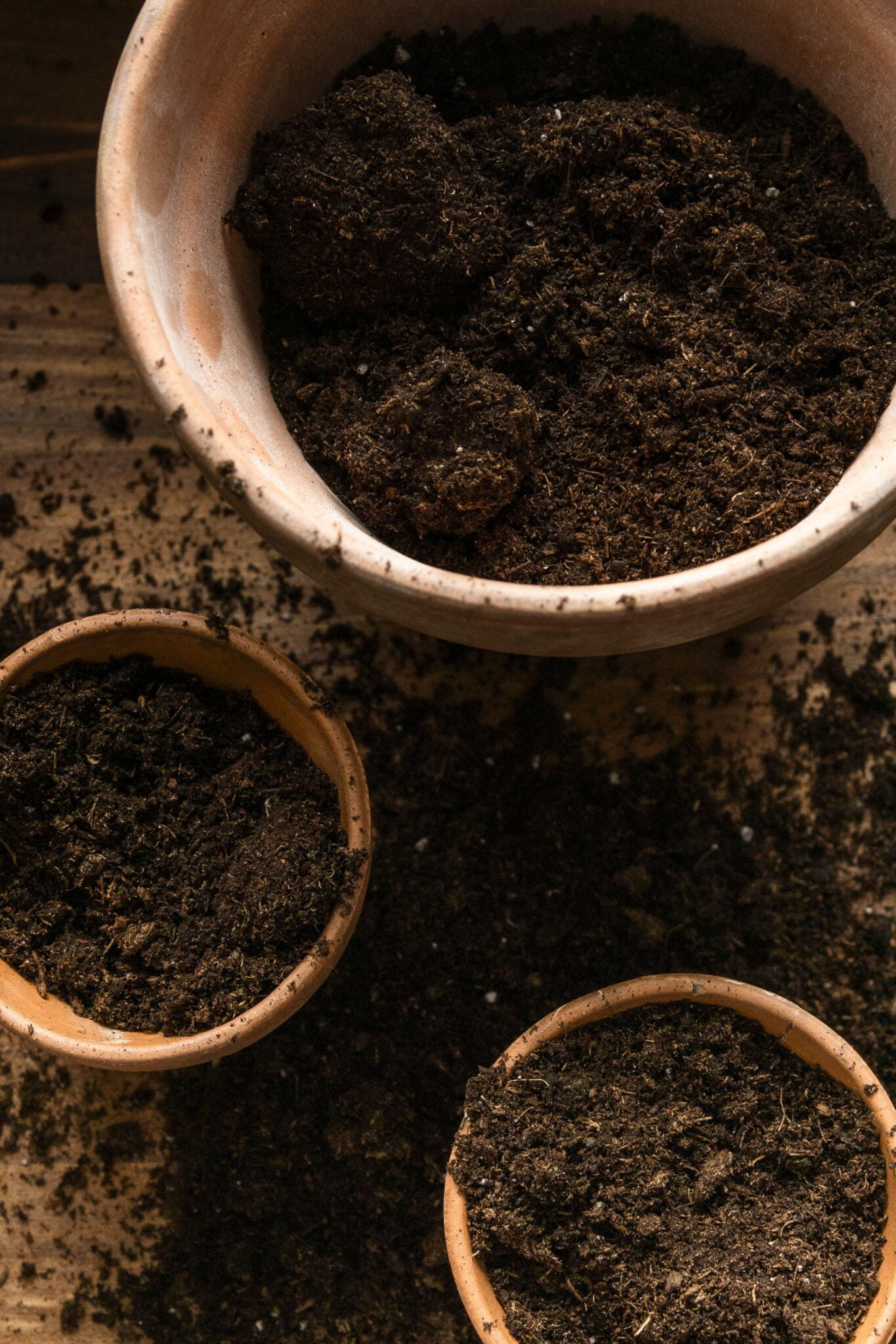 Best Homemade Potting Soil for Tomatoes A Bountiful Harvest
