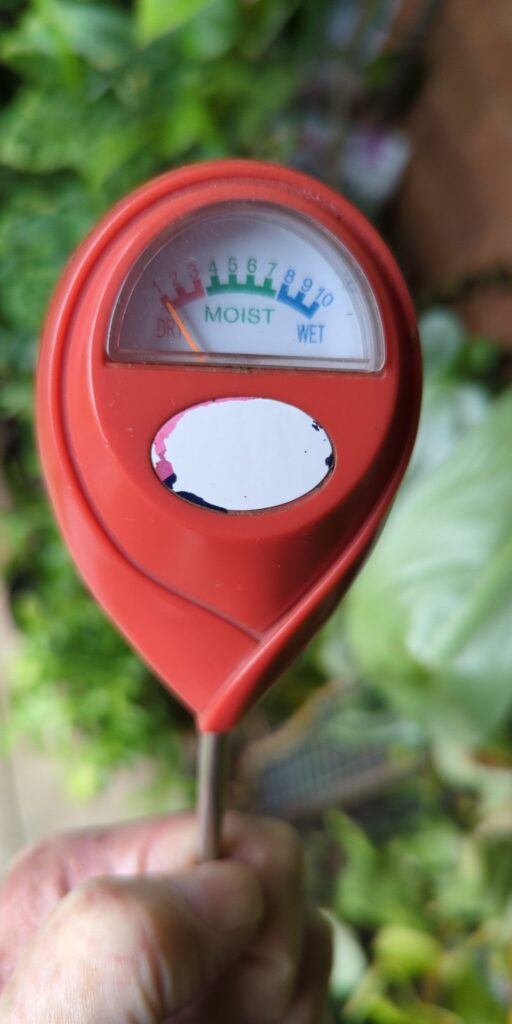 How to Use a Tomato Moisture Level Meter to Grow Perfect Tomatoes