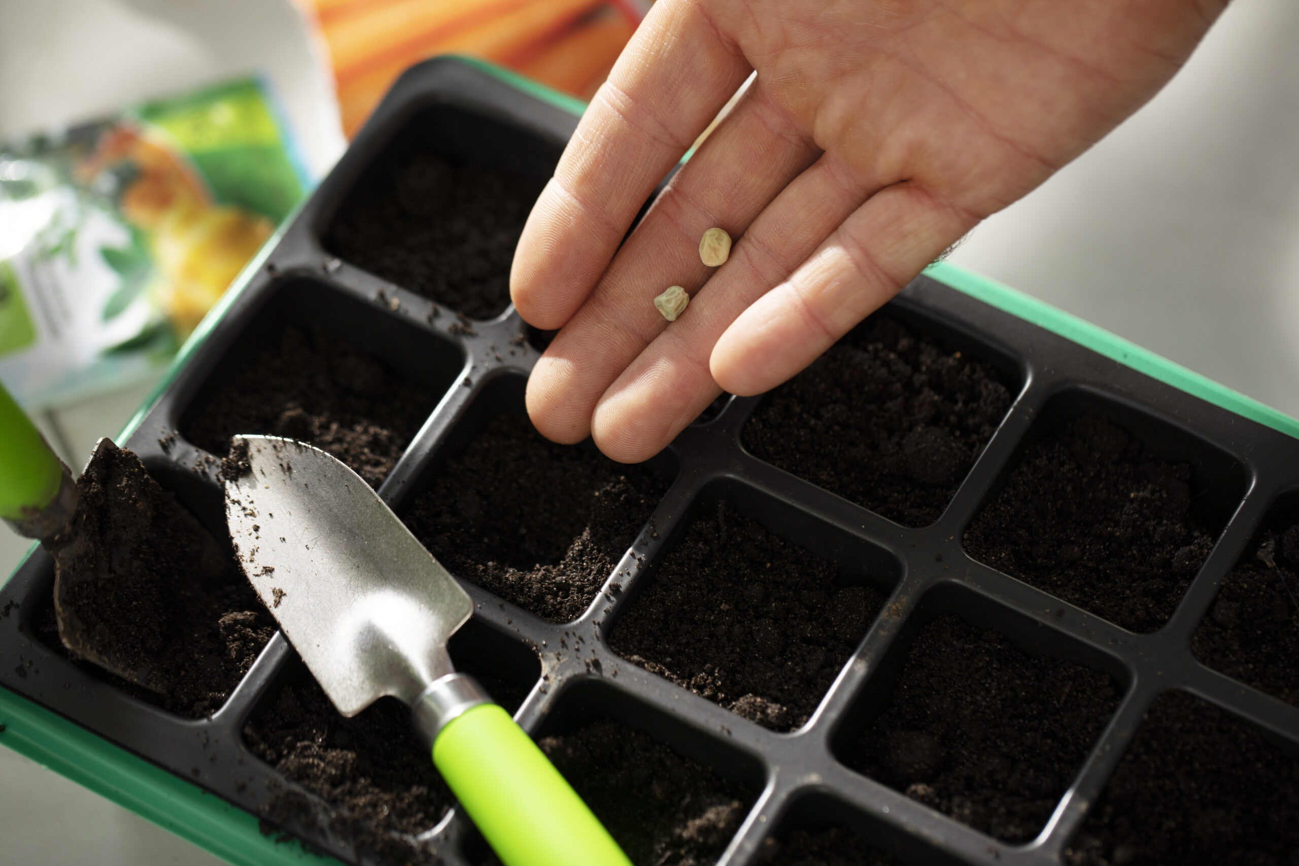 Must-Have Seed Starting Containers