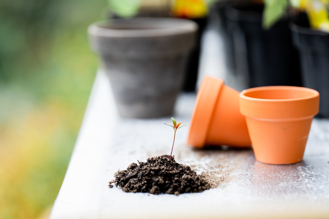  Organic Homemade Seed Starting Soil